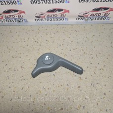 Купити 9204760 Ручка регулировки наклона спинки сиденья трасформул Renault Scenic 1,Рено Сценик 1 — магазин автозапчастин AvtoEU